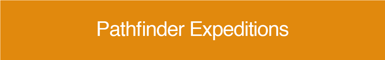 What You'll Learn - Orange Clipart (1250x333), Png Download