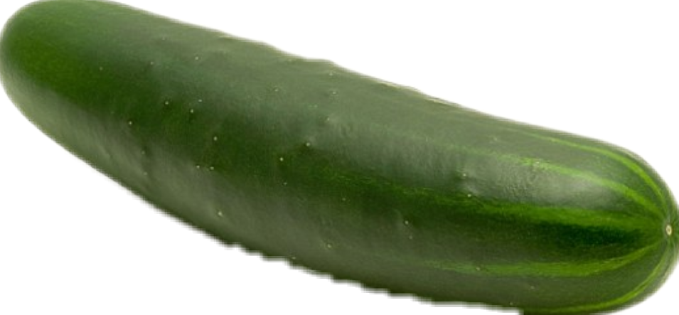Pepino Sticker - Cucumber Clipart (955x443), Png Download