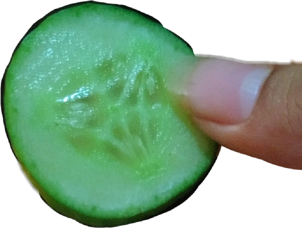 #pepino - Chlorophyta Clipart (1024x773), Png Download