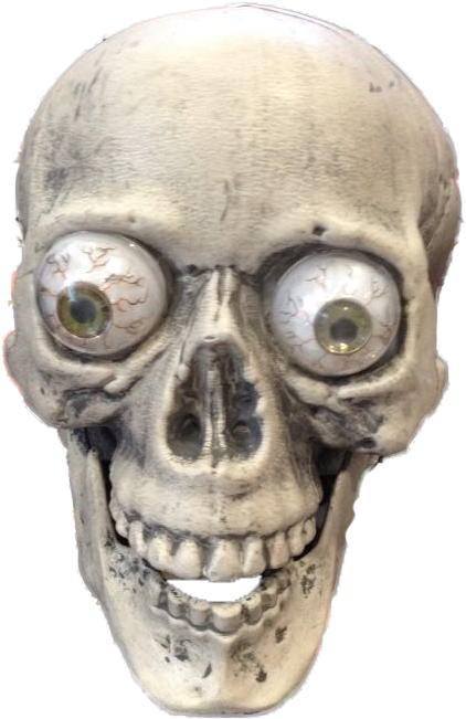 Objectplastic Halloween Skull - Skull Clipart (720x960), Png Download