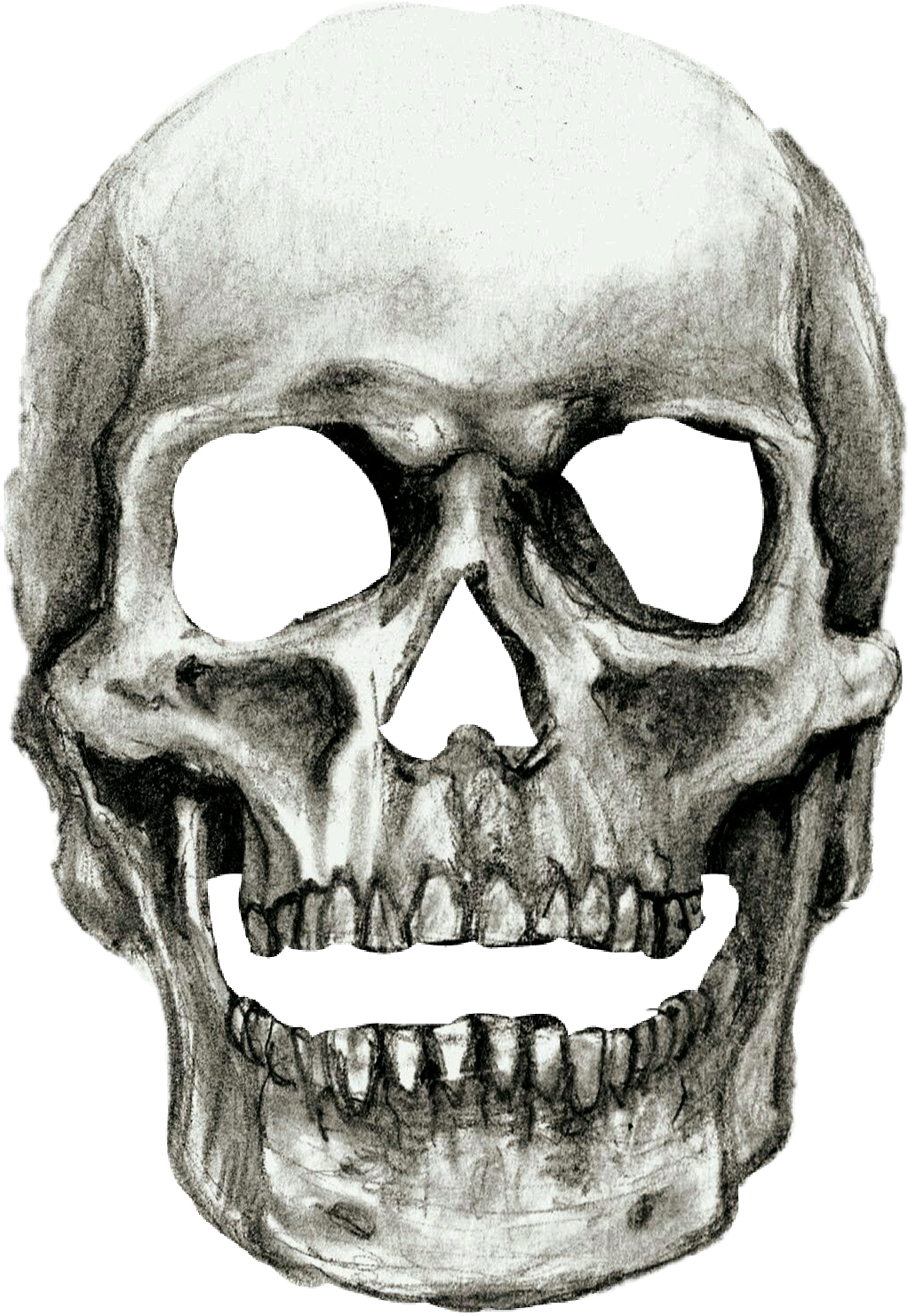 #halloween #skull - Shading A Skull Drawing Clipart (1022x1481), Png Download