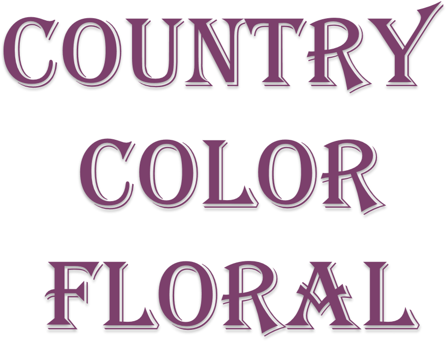 Teleflora's Burst Of Blue Bouquet In Francesville In - Graphic Design Clipart (1114x921), Png Download