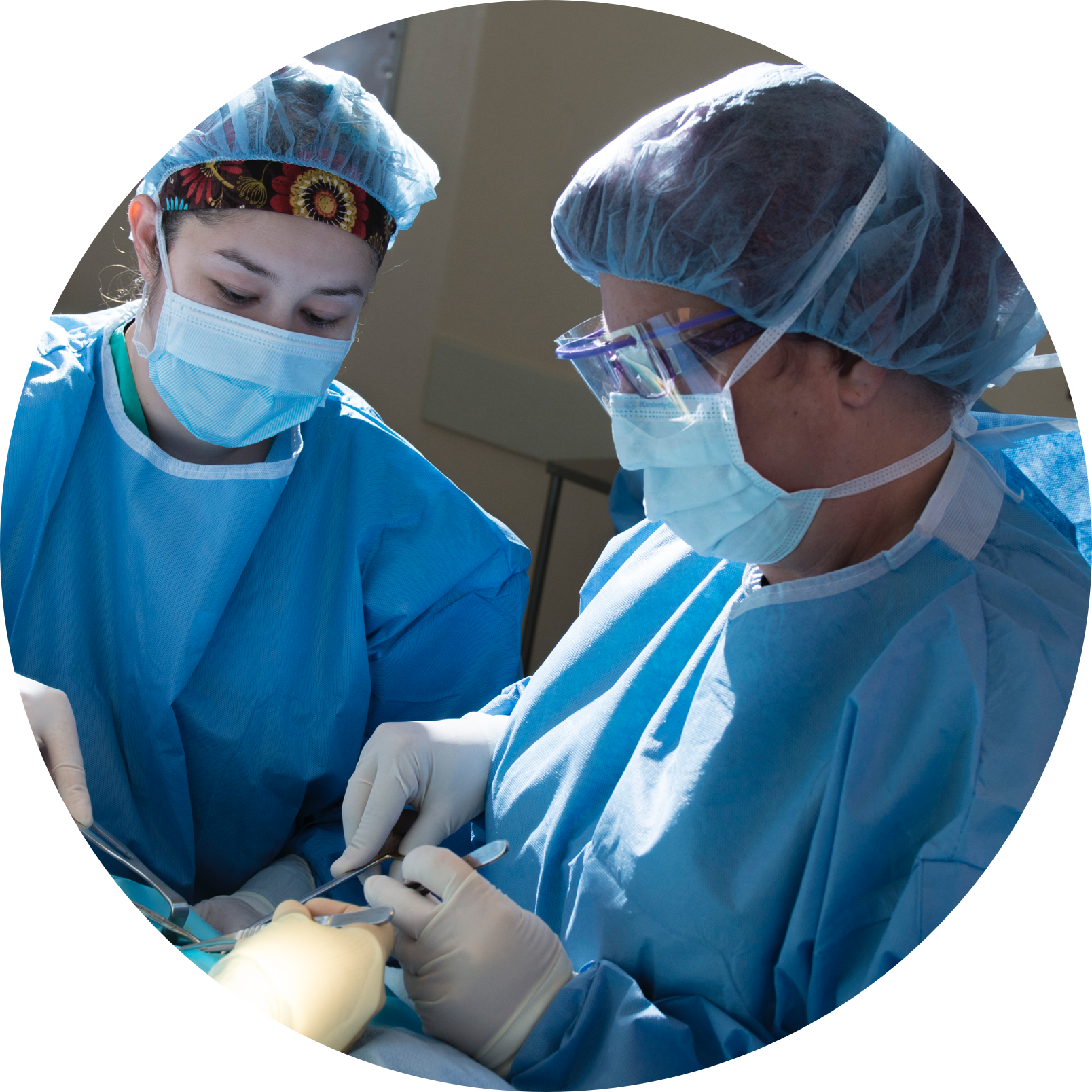 Following These Simple, Straightforward Guidelines Clipart (1608x1608), Png Download