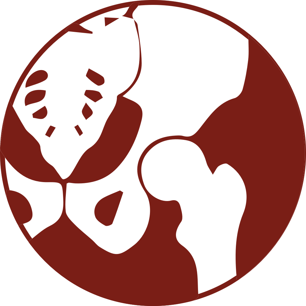 Hip Surgery Hip Prosthesis Icon Clipart Large Size Png Image Pikpng
