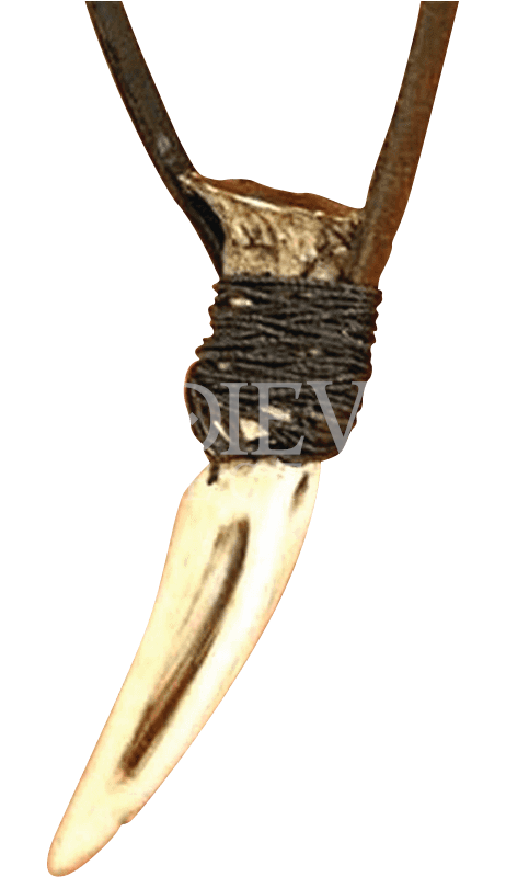 Wolf Tooth Necklace Clipart (799x799), Png Download