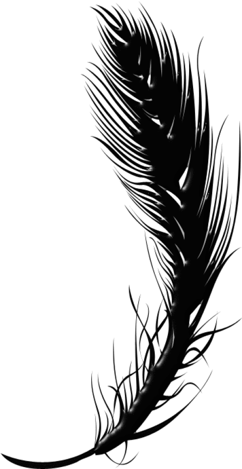 Free Png Download Black Feather Pen Png Images Background - Black Transparent Feather Png Clipart (480x932), Png Download