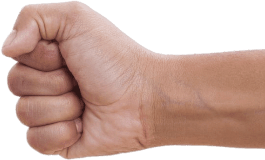 Free Png Download Clenched Fist To The Left Png Images - قبضة يد Clipart (850x592), Png Download