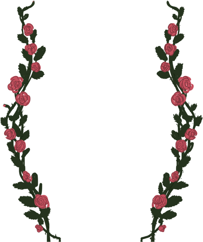 714 X 1118 7 - Transparent Rose Vines Clipart (714x1118), Png Download