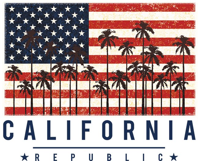 American Flag , Png Download - Black White Red Blue American Flag Clipart (646x525), Png Download