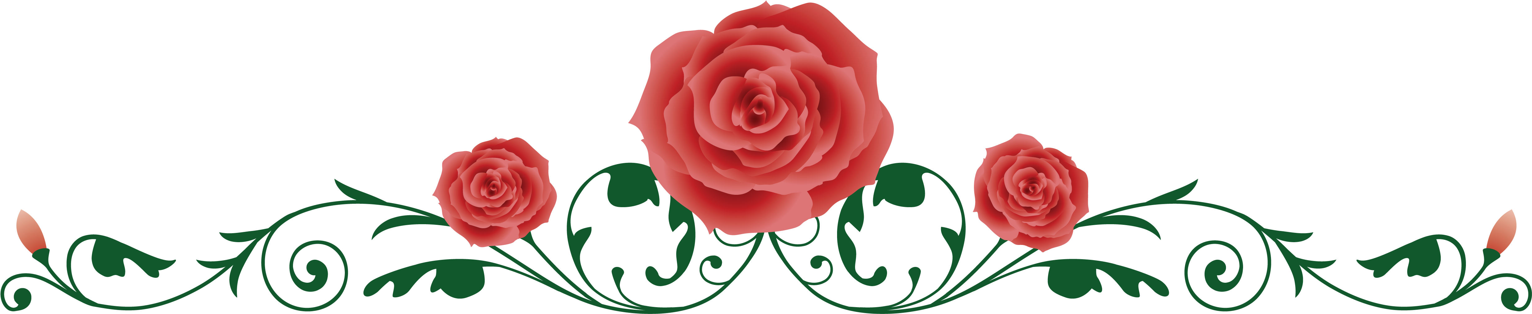 Tags - - Rose Vine Png Clipart (5206x1143), Png Download.