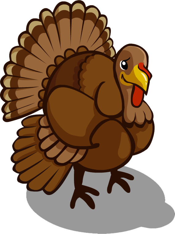 Turkey Free Download Png - Transparent Turkey Clipart (570x762), Png Download