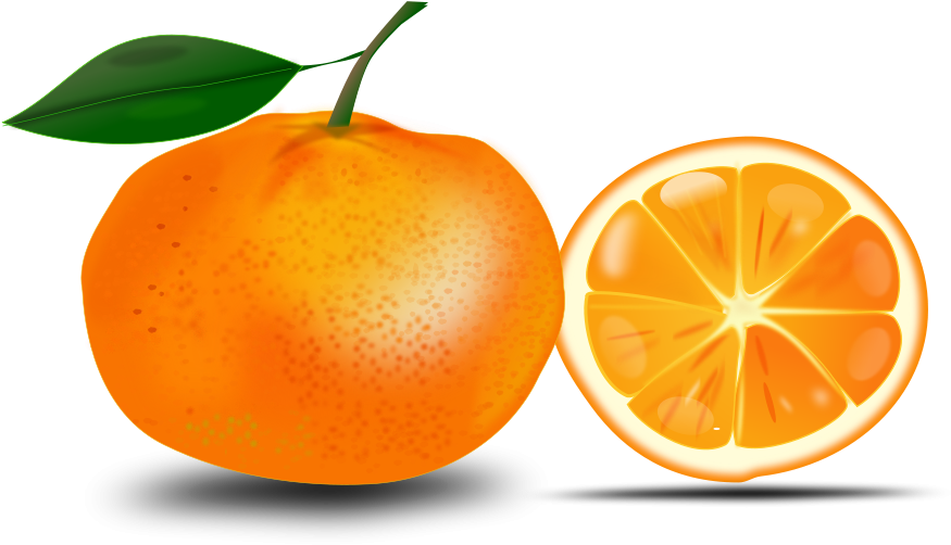 Orange Free Clipart - Free Clip Art Orange - Png Download (900x508), Png Download