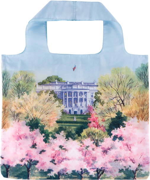 White House Historical Association Cherry Blossom Earrings - Cherry Blossom Clipart (507x608), Png Download