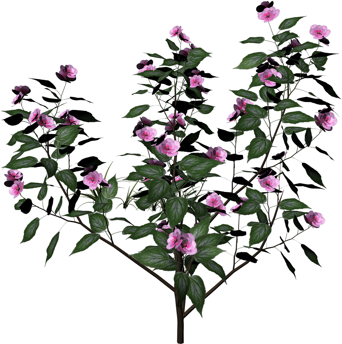 Bush Plant Flowers - Plant Render Clipart (1196x1204), Png Download