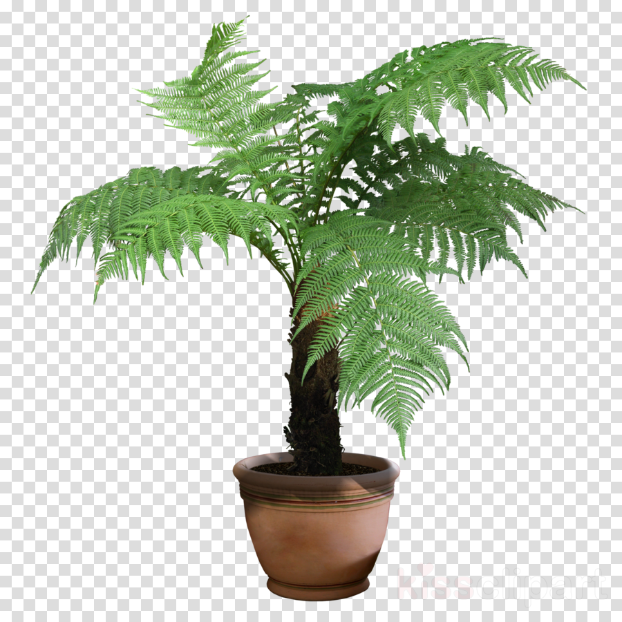 Plants Png Transparent Clipart Houseplant Indoor Plants (900x900), Png Download