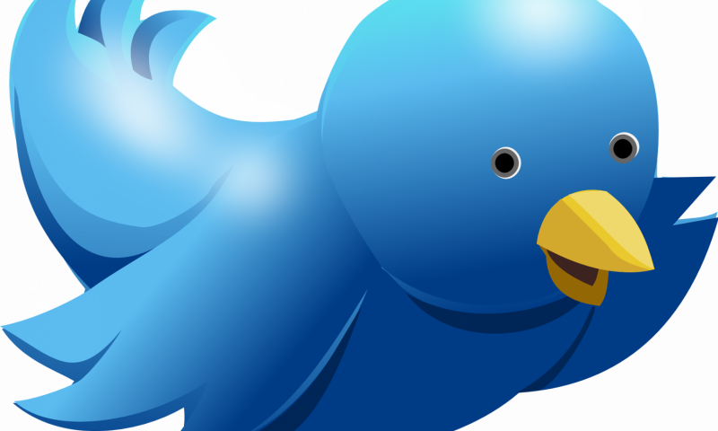 Computer Logo With Bird Clipart (800x480), Png Download