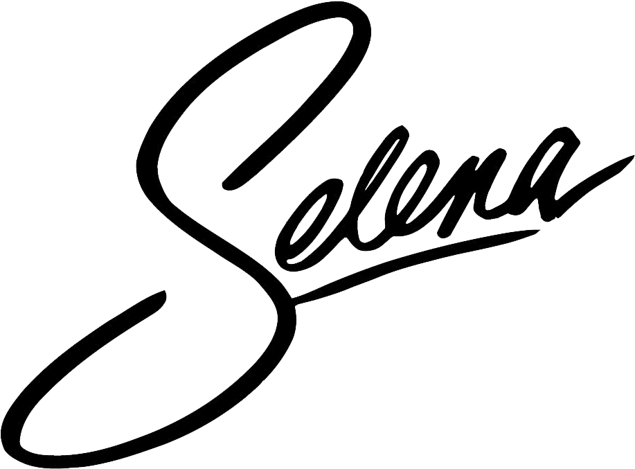 Walmart Logo Png - Selena Quintanilla Mesh Outfit Clipart (1050x900), Png Download