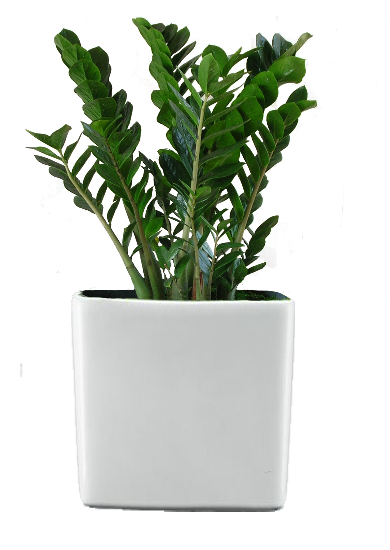 Green World Builders Inc Clipart (1313x1852), Png Download