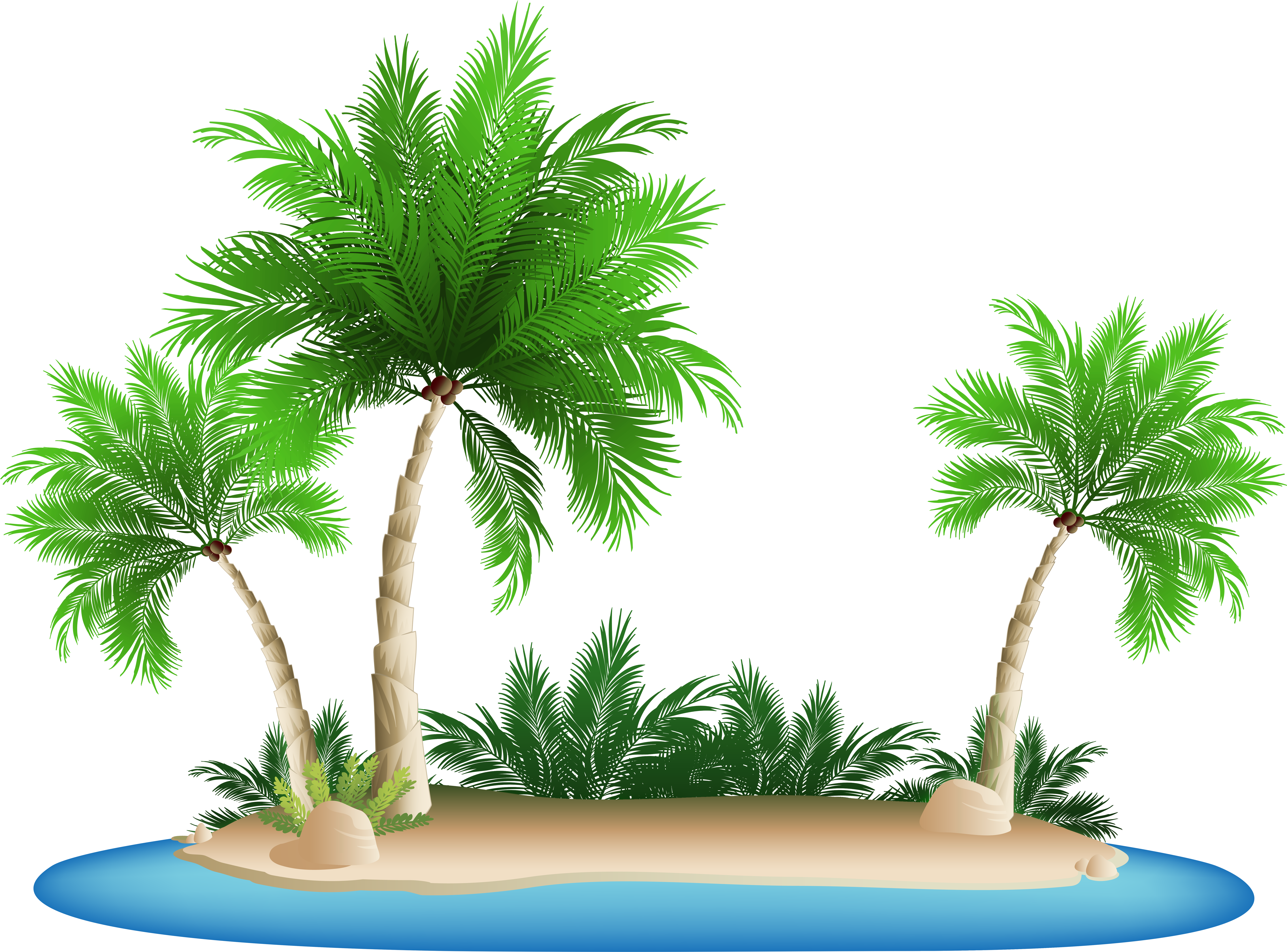 Download Palm Tree Island Clipart - Beach Palm Tree Png Transparent Png