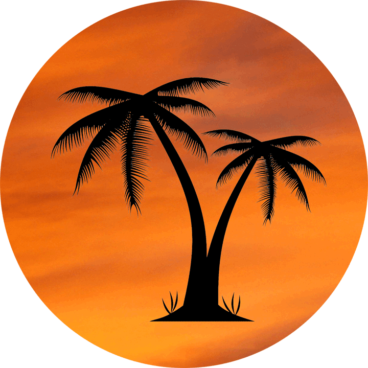 Orange Sky Palm Tree Design - Palm Tree Pic No Background Clipart (720x720), Png Download