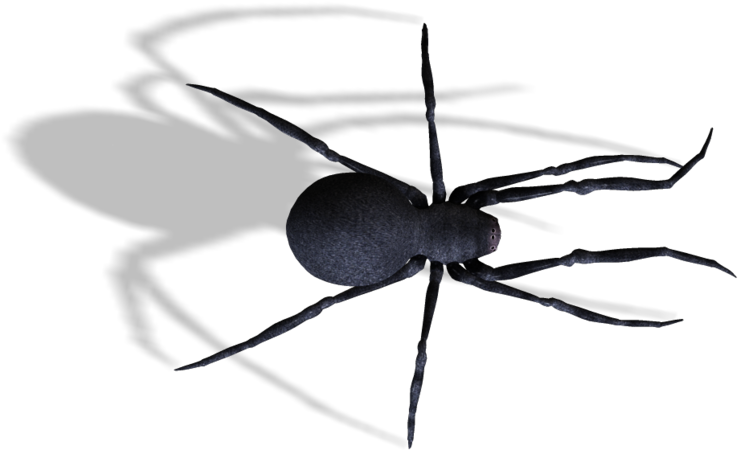 Spider , Png Download - Mosquito Clipart (738x450), Png Download