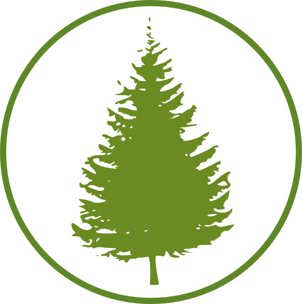 Small - Pine Tree Clipart Free - Png Download (594x597), Png Download