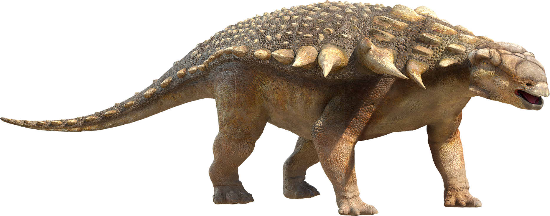 Dinosaur Png - El Dinosaurio Mas Gordo Clipart (1866x733), Png Download