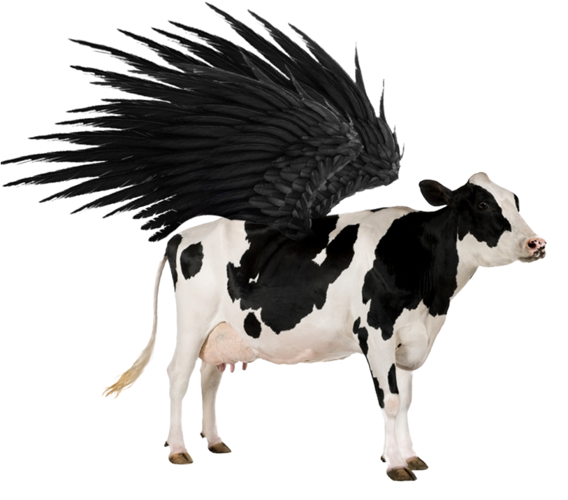Flying Cow Png - Cow Walking On Two Feet Clipart (894x894), Png Download