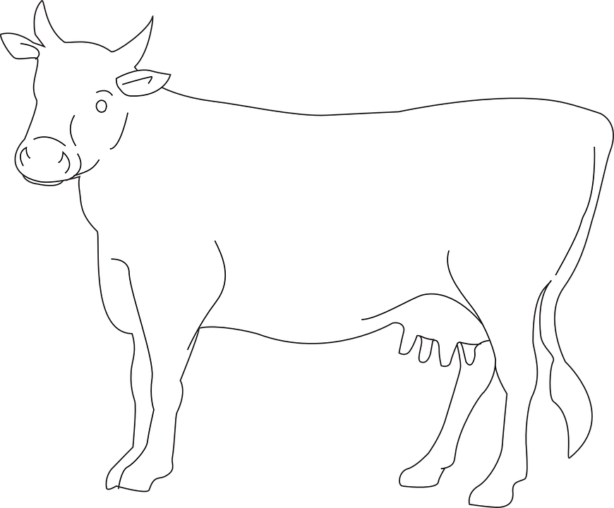 White Cow Png Photo Cow Drawing Side View Clipart Large Size Png Image Pikpng