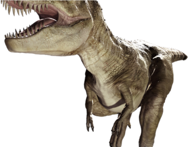 Dinosaur Png Transparent Images - Dinosaurs Png Clipart (640x480), Png Download