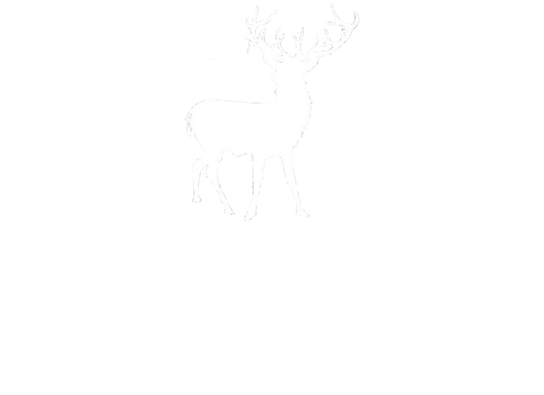 800 X 627 3 - White Heart Instagram Png Clipart (800x627), Png Download