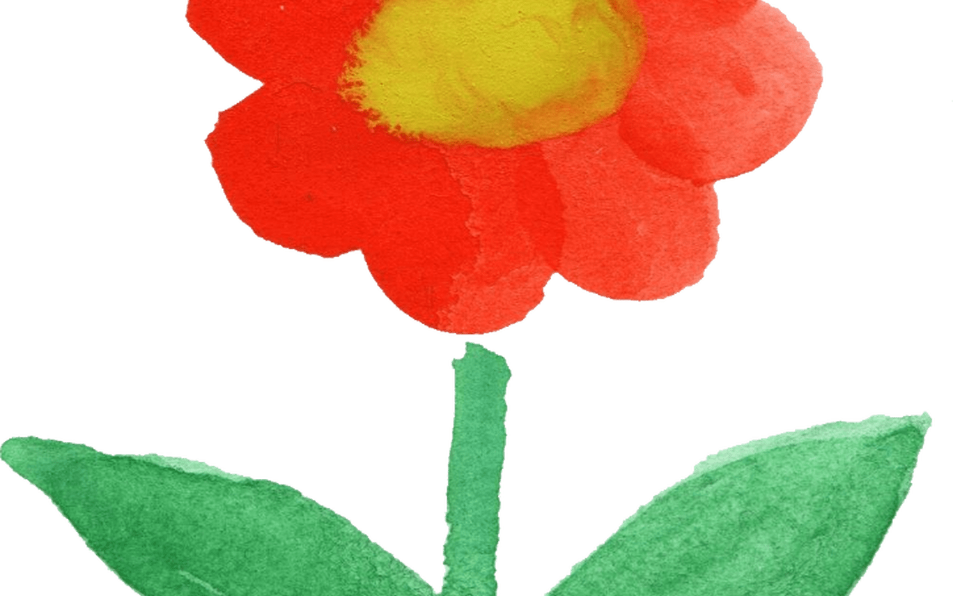 15 Watercolor Flowers Vol 2 Onlygfxcom - Corn Poppy Clipart (1368x855), Png Download