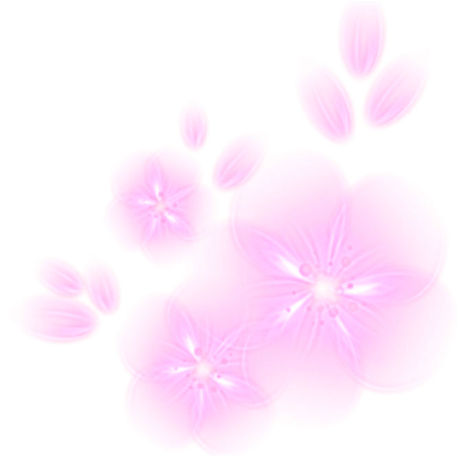 Glowing Png - Dianthus Clipart (1024x1024), Png Download