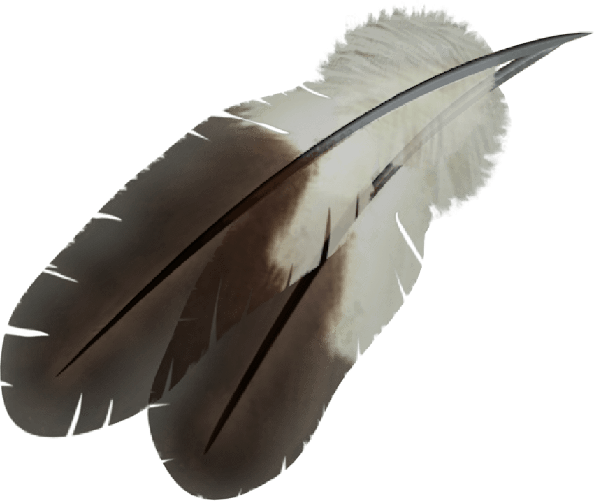 Free Png Download Feather Png Images Background Png - Indian Feather Png Clipart (850x717), Png Download