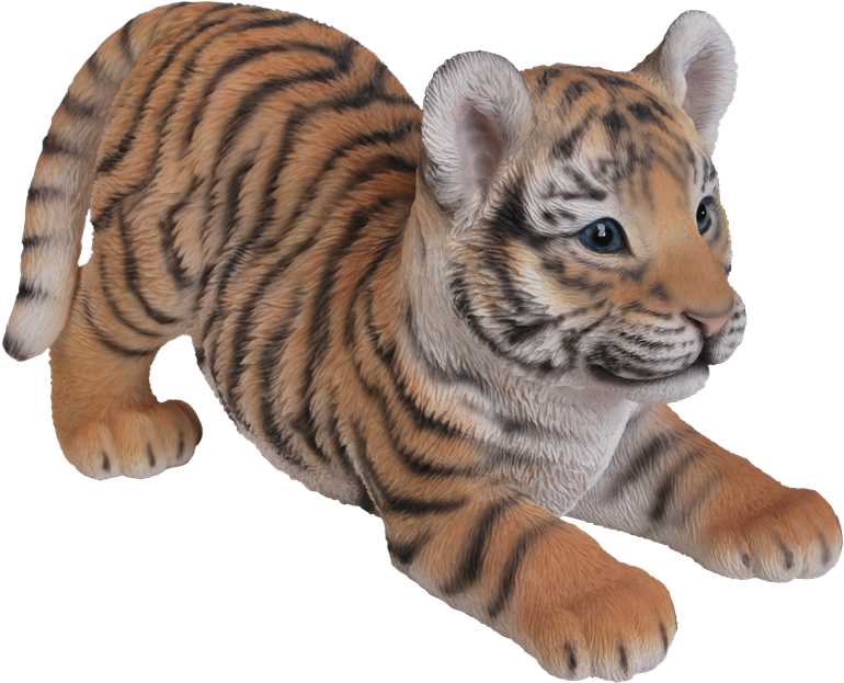6 Kbytes, V - Tiger Baby Clipart (900x693), Png Download