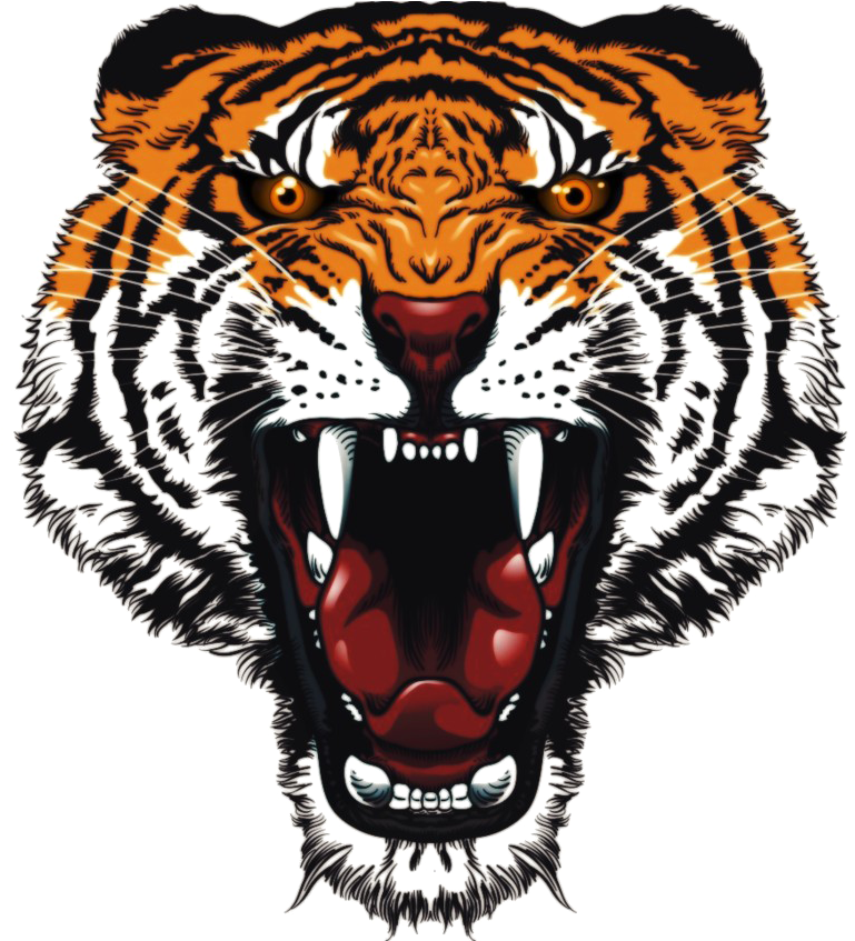 Tiger Tattoos Png Pic - Tiger Face Transparent Background Clipart (900x846), Png Download