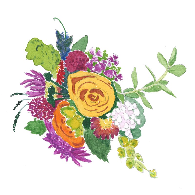 Designs Organic Flowers Clipart (800x800), Png Download