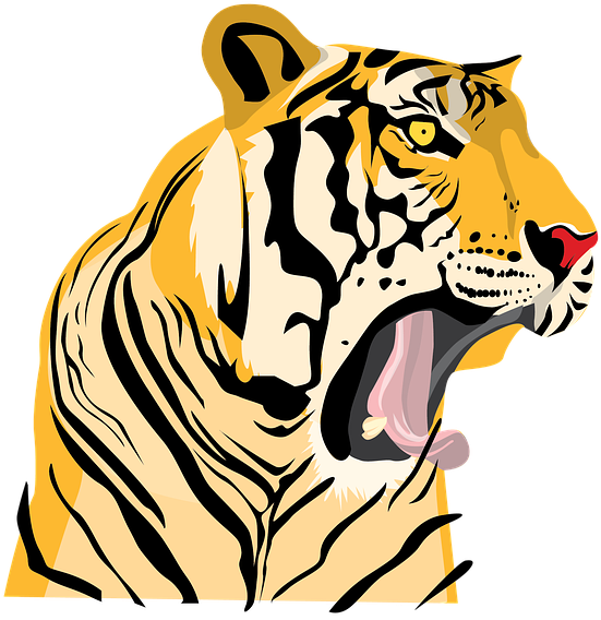 Roaring Tiger Png - Siberian Tiger Clipart (960x678), Png Download