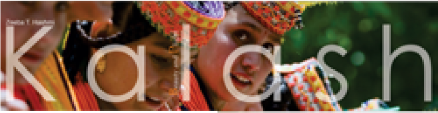 Beauty And Plight - Orangutan Clipart (890x395), Png Download