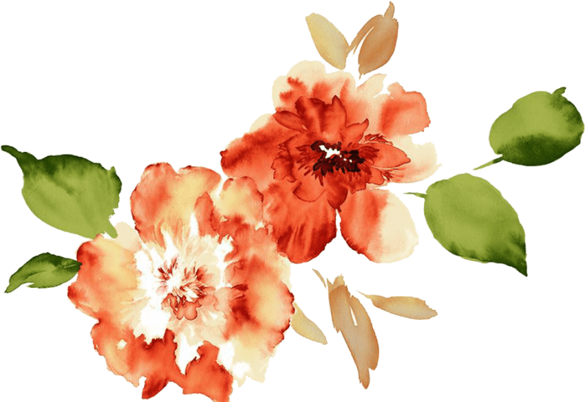 Free Png Download Watercolor Flowers Peach Peony Png - Flower Watercolour Clipart (850x585), Png Download