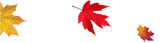 Thanksgiving Png Transparent Images - Autumn Leaves Transparent Background Clipart (640x480), Png Download