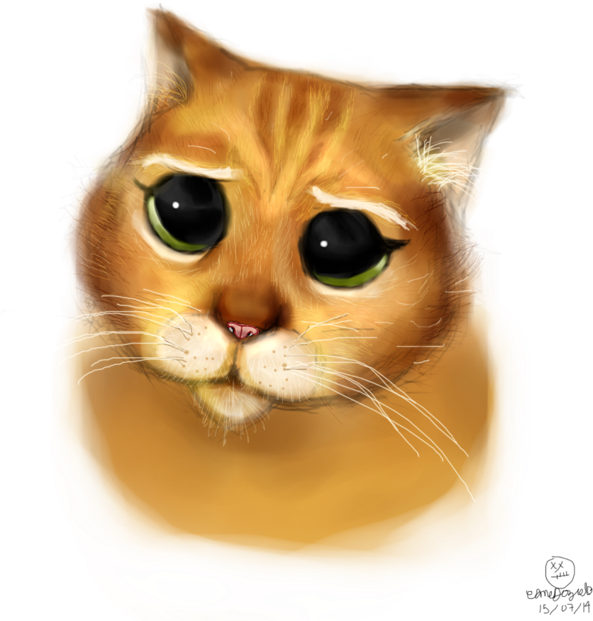 Gato Shrek Png - Gato Con Botas Png Clipart (894x894), Png Download