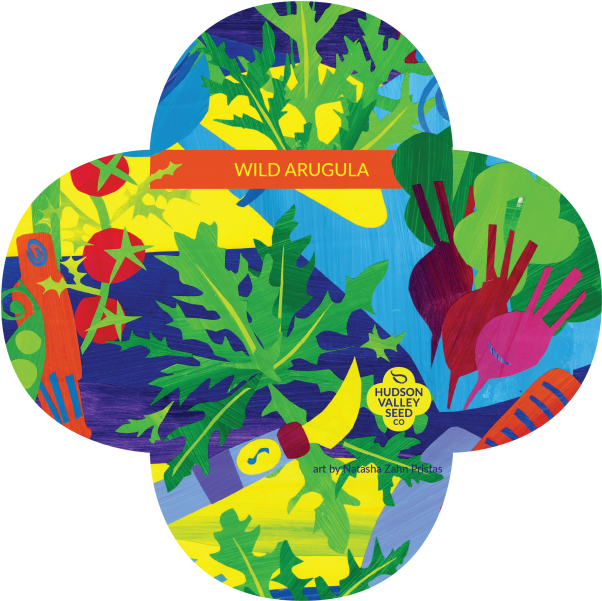 Perennial Wall-rocket , Png Download Clipart (602x601), Png Download