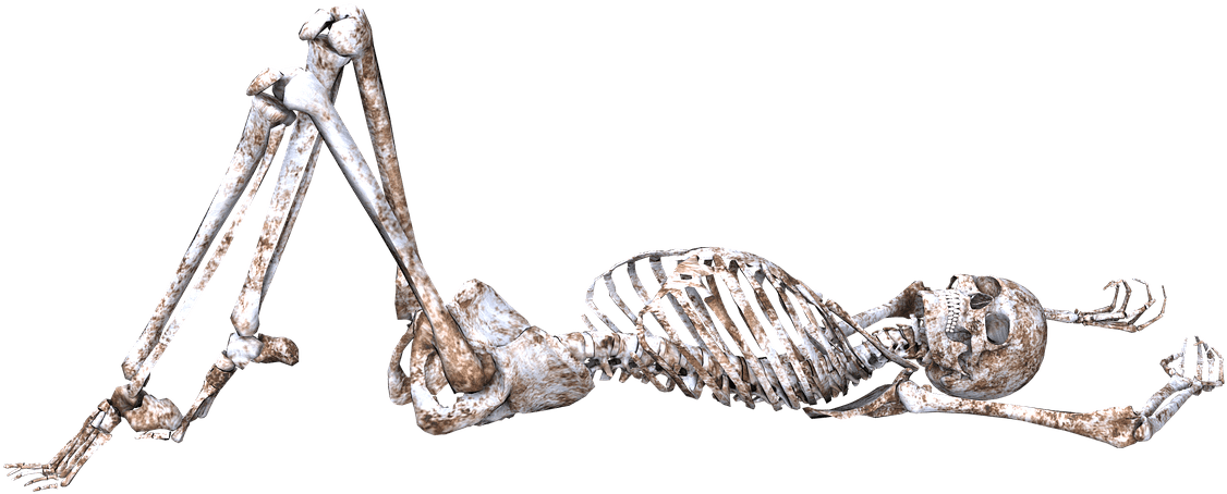 Skeleton Pose Skull Bones 3d Png Picpng - vrogue.co