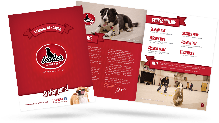 Leader Of The Pack - Red Brochure Png Clipart (988x554), Png Download