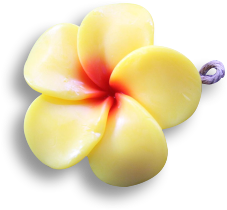 Yellow Frangipani - Frangipani Clipart (600x600), Png Download