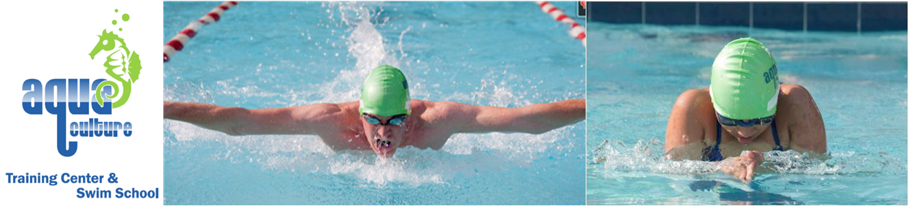 Butterfly Stroke Clipart (1327x302), Png Download