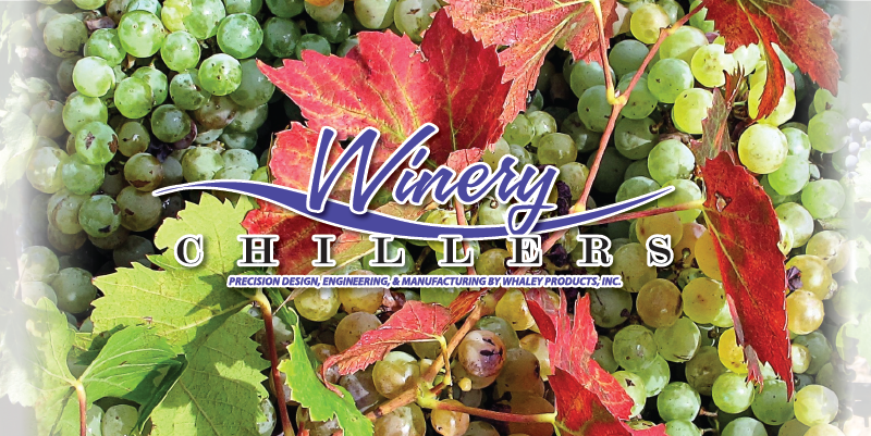 Grape Clipart (800x401), Png Download