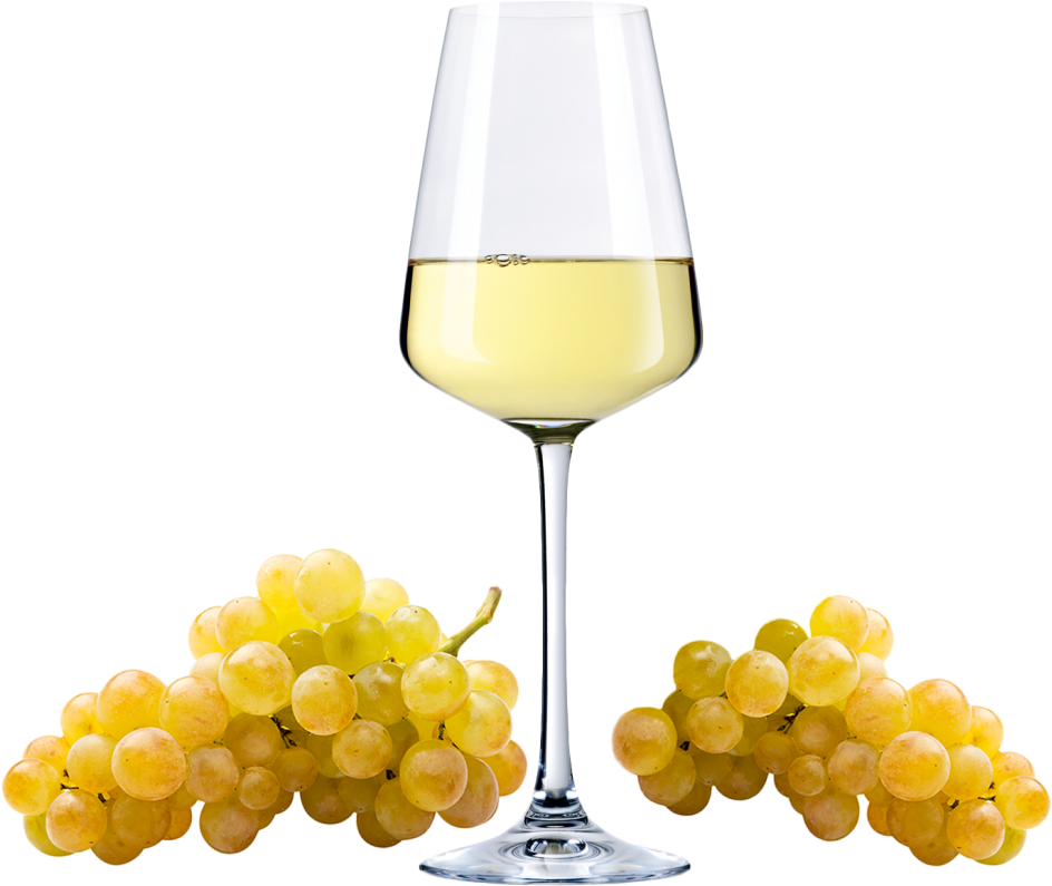 Enjoy Yourself At The Winery - Raisin Riesling Clipart (1000x797), Png Download