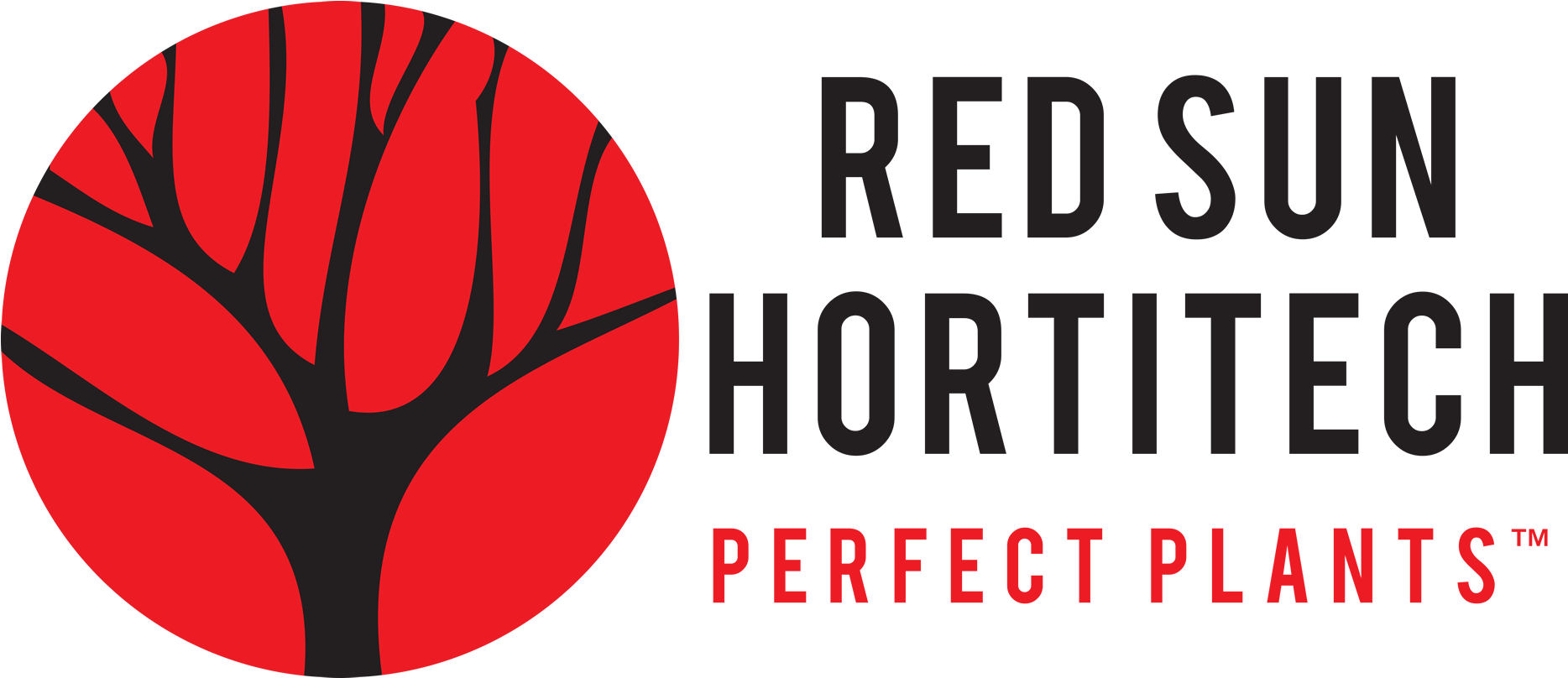 Logo - Monsterpiece Clipart (2000x807), Png Download